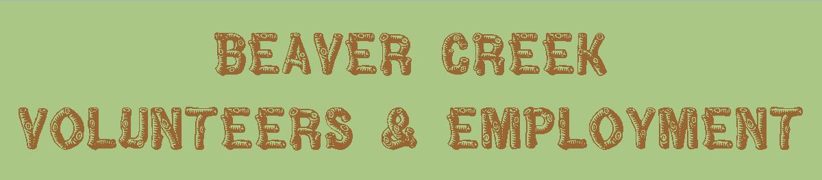 Volunteer & Employment